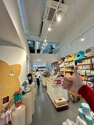 在江门！！在育德！！宠物界爱马仕
