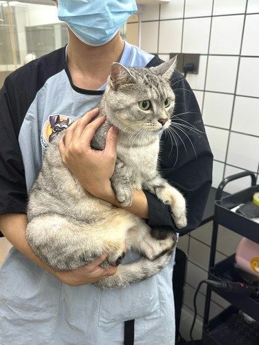 在江门。。让咱家‍⬛主子爱上洗澡