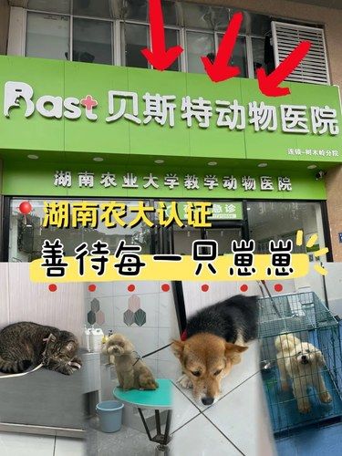 成为湖南农大教学点的宠物医院到底有多专业？