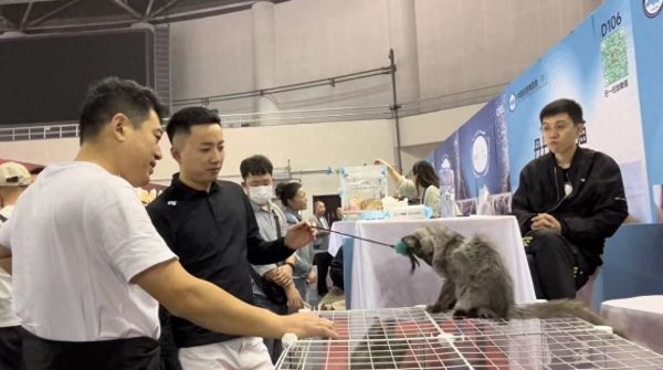 萌宠来袭!2023 首届中国名宠博览会(鞍山站)人气高涨