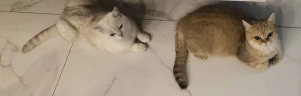 找寻有缘人
