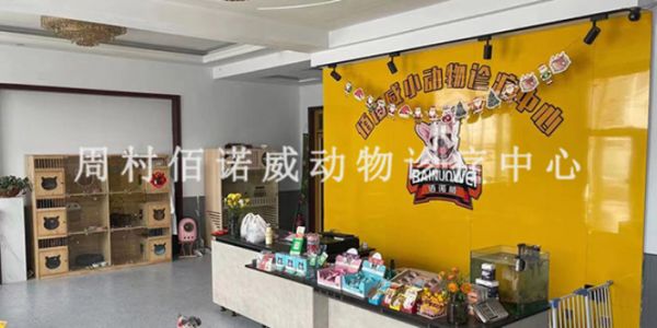 周村大公园附近的宠物医院剪毛,宠物医院