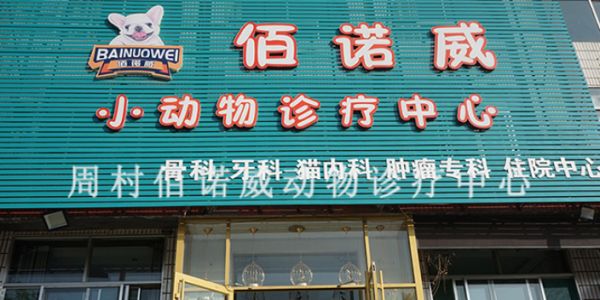 周村大公园附近的宠物医院剪毛,宠物医院