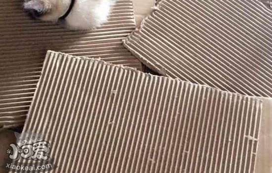 猫玩具diy 漂亮又简单的手工猫房子