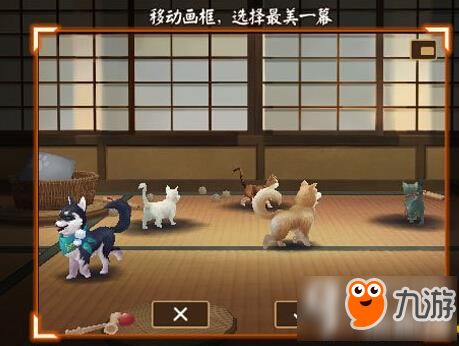 阴阳师宠物手账上线 记录宠物点滴