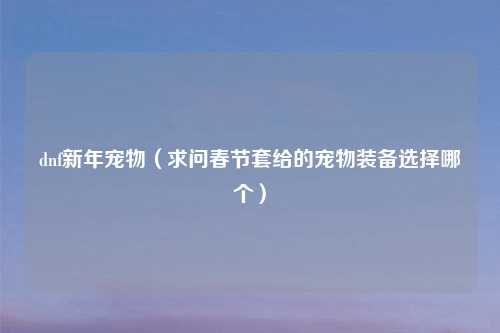 dnf新年宠物（求问春节套给的宠物装备选择哪个）