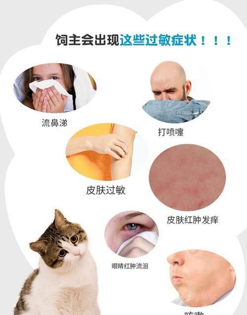 小猫过敏怎么办？