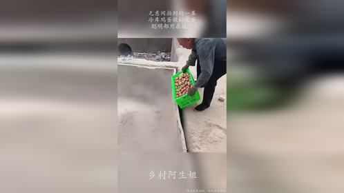 无意间拍到的一幕，冷库鸡蛋做松花蛋，聪明都用在这了