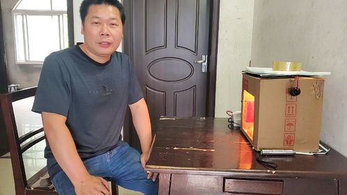 今天是孵化小鸡的第十天，看看有多少受精蛋