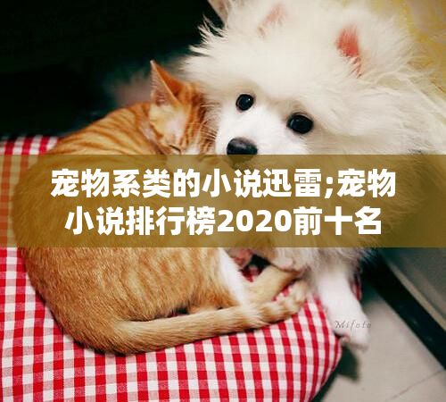 宠物系类的小说迅雷;宠物小说排行榜2020前十名