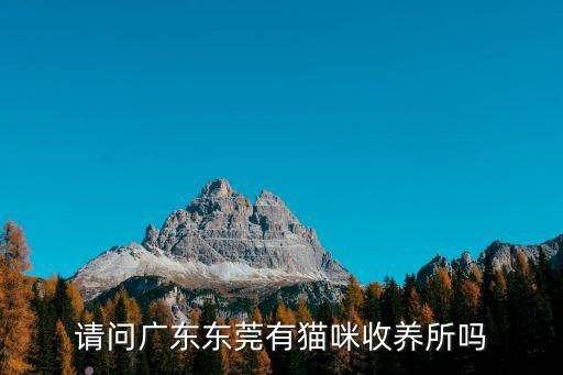 请问广东东莞有猫咪收养所吗