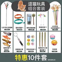 宠宝它 猫玩具逗猫棒套装自嗨逗猫激光笔猫项圈薄荷鱼不倒翁老鼠猫咪玩具（速发） 10件套 10件套（速发）