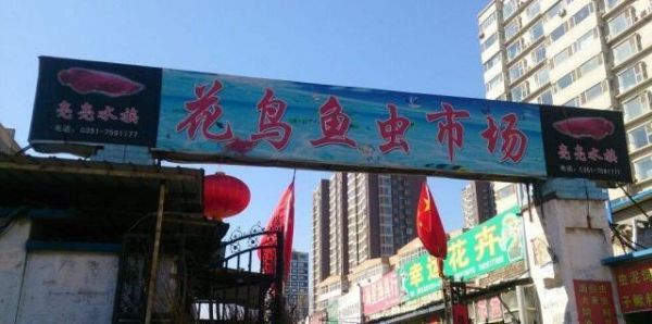 纯干货｜宠物店选址宝典