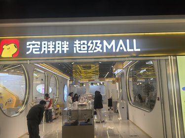 来合肥一定不能错过的撸猫馆～