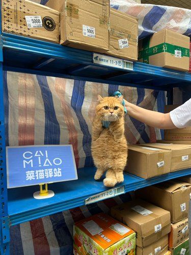 没取件码我就先拎走了！