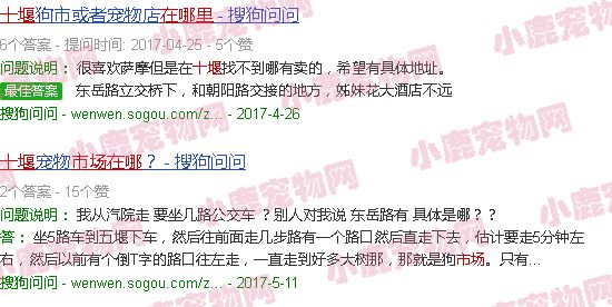 十堰宠物狗市场在哪里