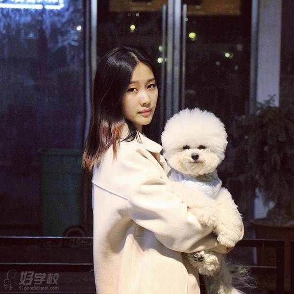 泉州术匠宠物美容 李荟