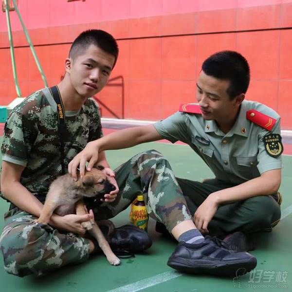 泉州术匠宠物美容 李万旋