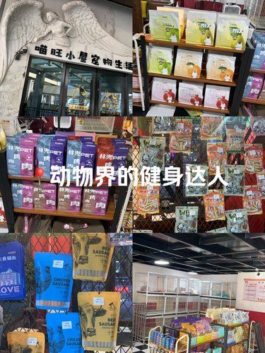 猫狗聚集地，宠物用品一站式解决