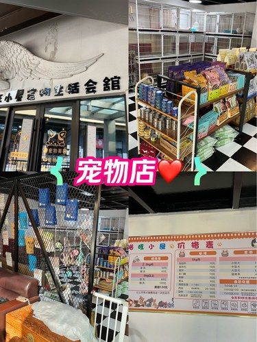 宠物店欢乐多