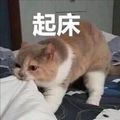 https://p0.meituan.net/userheadpicbackend/17ae00ff71bc7d558eec68db33e39cb4382307.jpg%40120w_120h_1e_1c_1l%7Cwatermark%3D0
