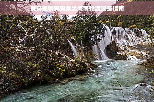 携带宠物狗狗乘坐海南轮渡攻略指南