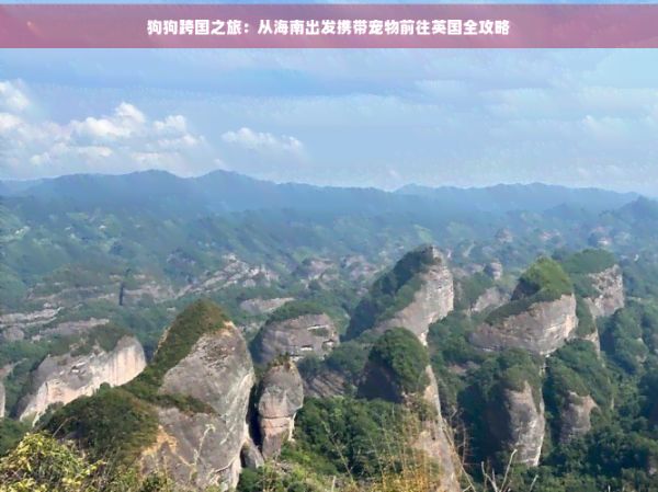 狗狗跨国之旅：从海南出发携带宠物前往英国全攻略
