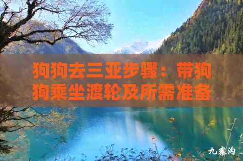狗狗去三亚步骤：带狗狗乘坐渡轮及所需准备指南