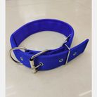 宠物项圈 狗狗可调项圈3cm宽