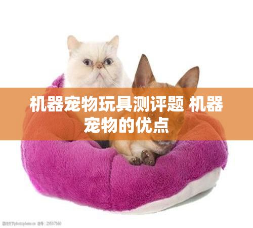 机器宠物玩具测评题 机器宠物的优点