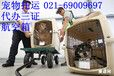 上海航空宠物托运公司电话-宠物物流行李托运公司电话