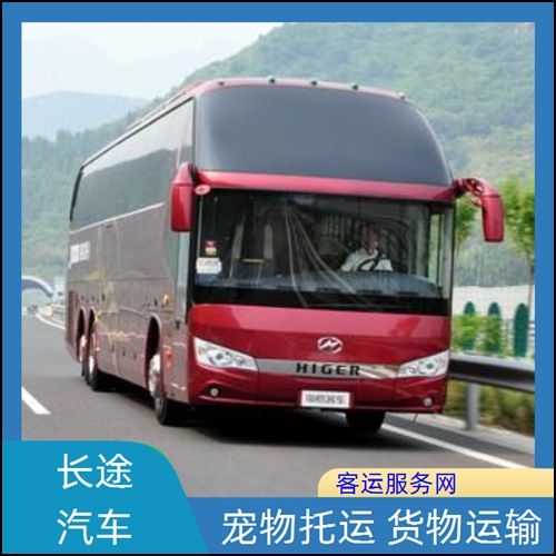 海安到海口长途大巴车汽车班次查询表(路线+票价)宠物托运