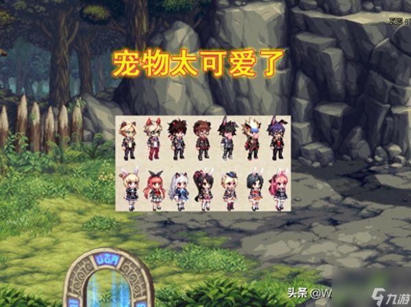 dnf第4季战令宠物属性（dnf第4季战令宠物哪个最好）