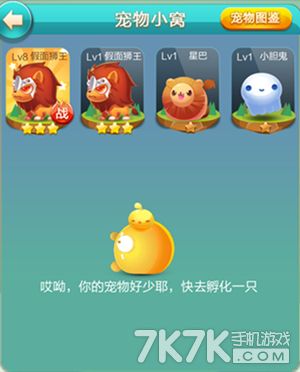 天天爱消除游戏宠物选择攻略