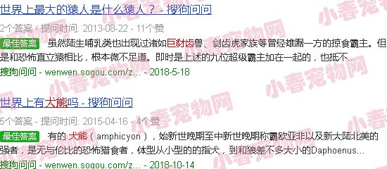犬熊vs巨豺齿兽