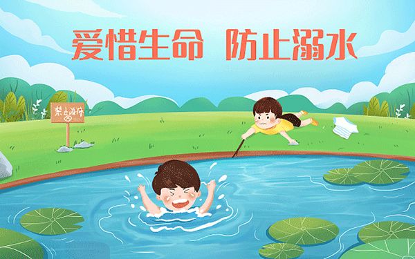 宠物美容哪里培训好点呢