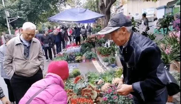 告别脏乱差!自贡这个自发花卉、宠物交易市场要“搬家”啦!(图1)