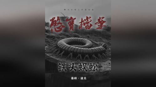 秦岭潼关传说：铁头蜈蚣度雷劫竟然失败！