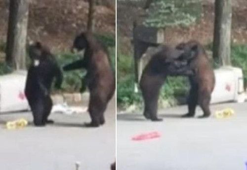 点击进入下一页