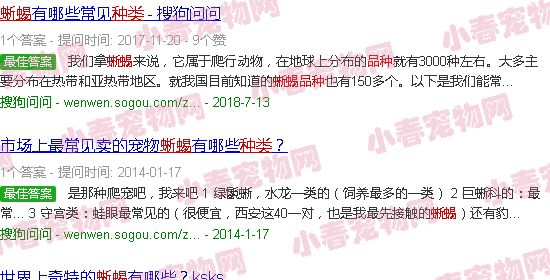 蜥蜴图片大全品种