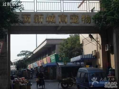 佛山南海大沥新城南宠物市场 大沥宠物精品街
