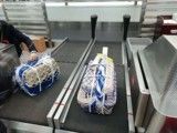 杭州宠物运输 宠物出国 国际宠物托运 宠物速递托运-可办理全国托运