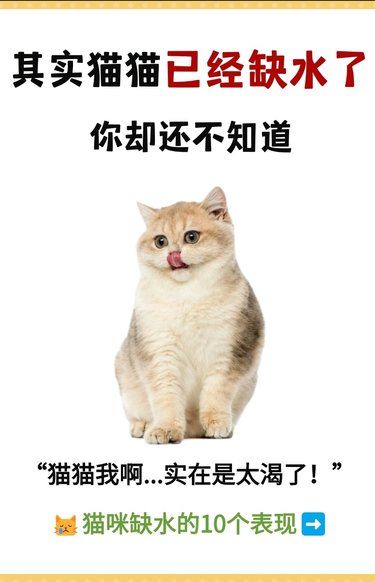 猫猫我啊～实在太渴了