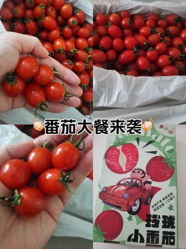 番茄大餐来袭