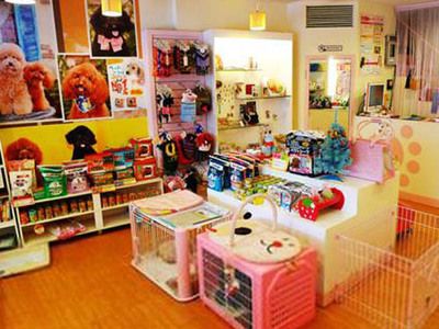 宠物店名字大全洋气的