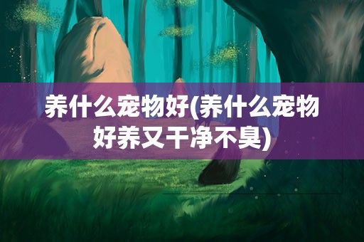 养什么宠物好(养什么宠物好养又干净不臭)