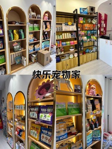 猫咪洗个澡变身宠物美容师