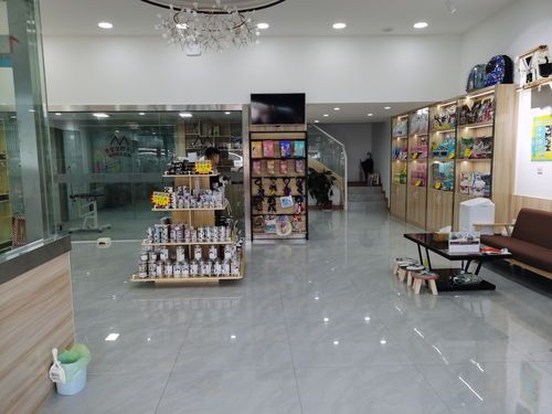 内江宠物店哪家便宜又好看的