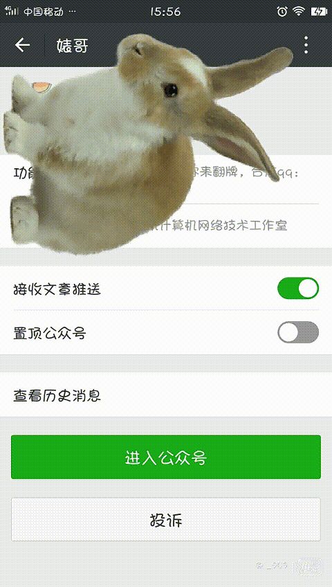发现个超火超好玩的技能，手机上也可以养小动物啦