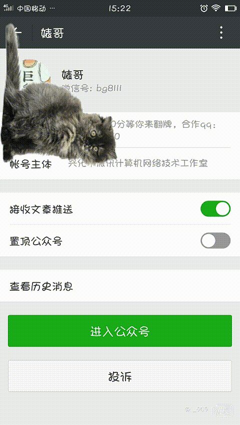 发现个超火超好玩的技能，手机上也可以养小动物啦